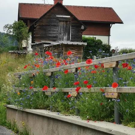 度假居 Ferienhaus Raumberg Raumberg